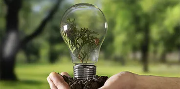 Energy Efficiency