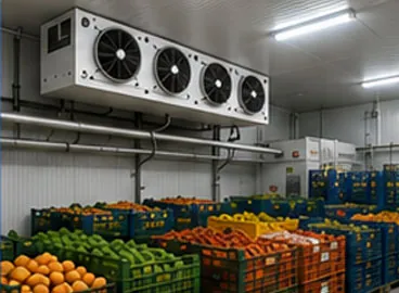Performance Enhancement of Existing Cold Storages through Implementation of ECRMs
